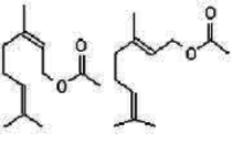 Ex-Palmarosa Geranyl Acetate Manufacturers